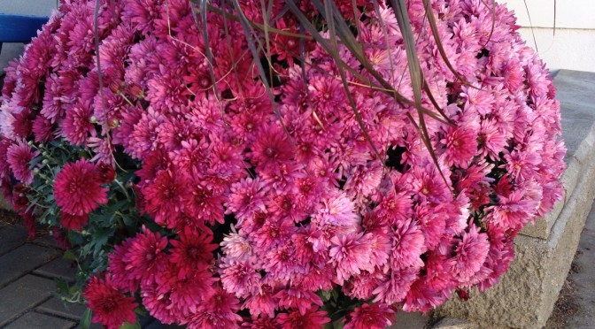 Be Short on Words for Awhile