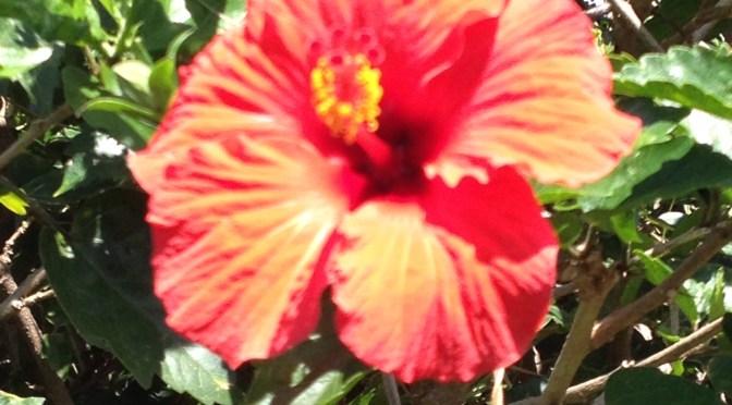 Be Burning The “To Do” List