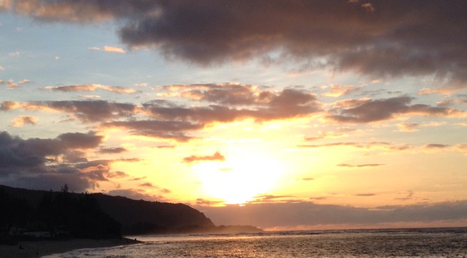 Be Taking Selfies in the Sun 