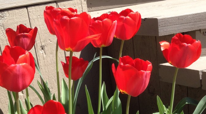 Be Knowing God is with YOU 