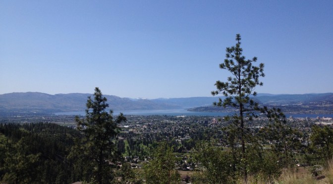 Be Wondering About Your Why 