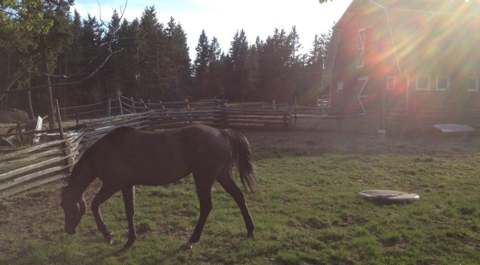 Be Starving Yourself