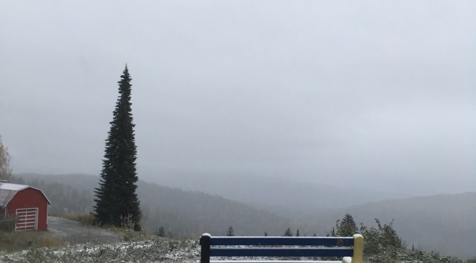 Be Working Out to Work Things Out 