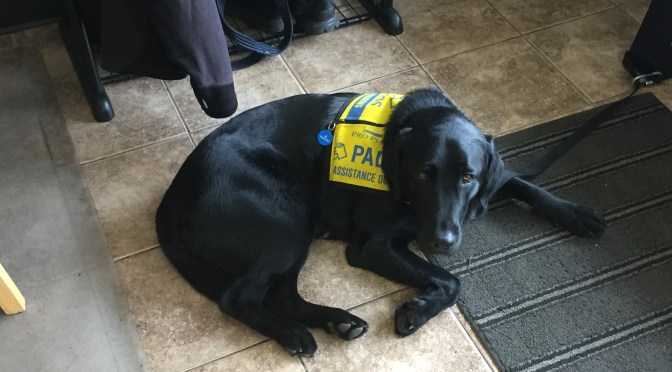 Be Bawling your Eyes Out (At the Gym)